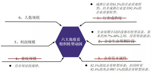 观点 穆胜 平台型组织 数字化时代的组织智商鉴定器