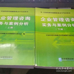 企业管理咨询实务与案例分析上 下